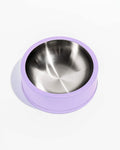 Dog Bowl